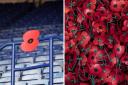 The poppy has been a symbol of remembrance since 1921