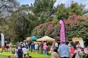 A previous Food Fair at Abbotsbury Subtropical Gardens.