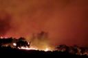 The wildfire on Godlingston Heath near Studland in November 2021