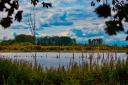 Part of the waterside footpath at Fishlake Meadows Wildfire Trust Nature Reserve will close this week.