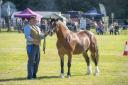 PHOTOS: The Romsey Show returns bigger and better for 2024