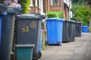 Wheelie bins are due to be introduced in the New Forest from next summer onwards