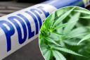 A cannabis factory has been found in Bridport