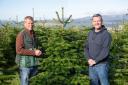 Dobbies Cadnam, in partnership with Needlefresh, has launched the initiative to spread festive cheer