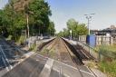 Cows on the train tracks at Moreton