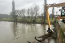 Tree being removed in Blandford