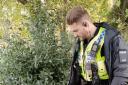 Police searching local parks and public spaces for any discarded weapons