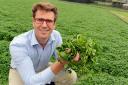 Tom Amery-Matthews of the Watercress Company