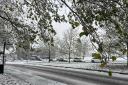 Snow falls across Dorset