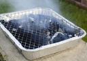 Two of Britain's biggest retailers are refusing to sell disposable barbecues following wildfires in the New Forest and other areas.