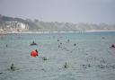 Stock photo of swimmers doing the pier-to-pier swim.