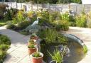 Stunning flowers surround this lovely pond