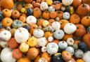 There are a number of ways for you to make the most out of pumpkins this year once Halloween is over (Jane Barlow/PA)