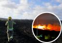 Studland heath fire caused by bonfire