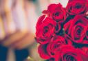 A bunch of red roses. Credit: Canva