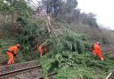 Network Rail engineers attempt to clear fallen trees from the railway line. Picture: Network Rail Wessex