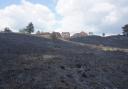 Canford Heath has been left charred since the fire last Saturday.