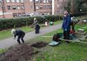 Dorset Wildlife Trust Urban Green project at St Peter's Church in Bournemouth. Picture: Sue Dawson