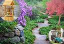 Background - A garden path. Credit: Canva. Circles - (top) Wishing Well Planter and (bottom) a Lawnmower. Credit: Aldi