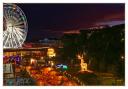 Bournemouth Christmas Tree Wonderland by Peter Hadfield