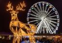 Bournemouth Christmas Tree Wonderland