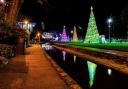 Christmas Tree Wonderland in Bournemouth Lower Gardens by Shazz Hooper