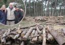 Tree felling at St Catherine's Hill. Insert: Wendy Long, Roy Avery, and Jackie Milton