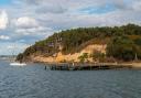 'Serious concern' raised as oil washes up on wildlife haven Brownsea Island