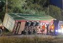 Cows die as livestock lorry flips over on roundabout