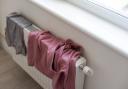 Drying wet clothes on a radiator can help mould grow and cause harm to your health