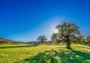 A heatwave could be on the cards for the UK in late June and early July