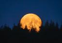 Sturgeon supermoon over the New Forest