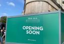 The Ivy is opening soon