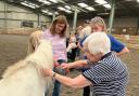 Residents from Moors Manor care home visited Riding for the Disabled - Wilton Group