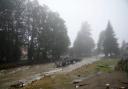 A destroyed bridge after recent floods in Jesenik, Czech Republic (Petr David Josek/AP)