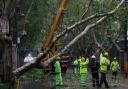 Workers remove fallen trees along a street in the aftermath of Typhoon Bebinca in Shanghai (Xinhua News Agency via AP)