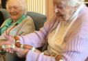 Zetland Court Care Home in Bournemouth enjoyed a friendly visit from a number of exotic animals including a milk snake and albino ferret.