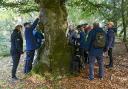 A group from Open Sight Hampshire on a guided walk are led through the New Forest as part of the 2023 Walking Festival.