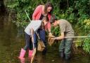 New initiative launched to protect and enhance Dorset’s wildlife habitats