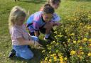 St Marys School Nature Day