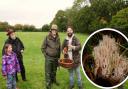 Expert mycologist Andy Knott, of Jurassic Coast Mushrooms, left, discovered the rare mushroom on a nature walk at Bere Marsh Farm