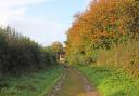 The bridleway track up from Newfield House