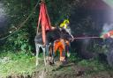 Firefighters from Poole, Sherborne and Yeovil attended the incident and winced the donkey out of the culvert.