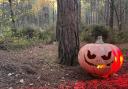 Halloween trail at Moors Valley Country Park in Dorset