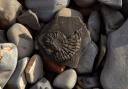 Barton-on-Sea was ranked as a great spot for fossil hunting in the South West and the UK as a whole