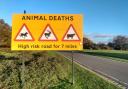 The crash happened on Roger Penny Way, one of the worst routes in the New Forest for animal accidents