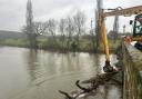 Tree being removed in Blandford