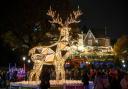 Bournemouth Christmas Tree Wonderland