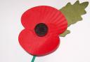 A poem for Armistice Day by Bournemouth's Poet Laureate