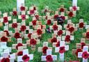 Individually named crosses at Highcliffe. Picture by Sam Sheldon.